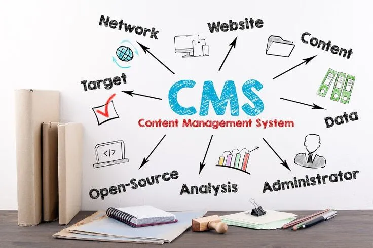 CMS Website Development Company Hire CMS Developers Openwave SG